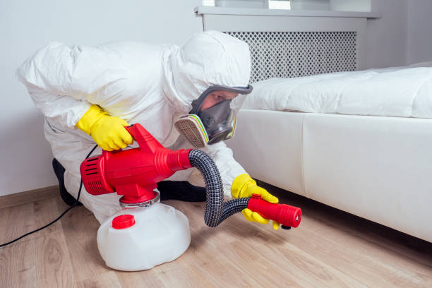 Best Bed Bug Extermination  in Blue Mound, TX