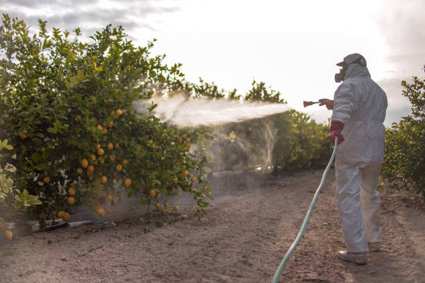 Blue Mound, TX Pest Control Pros