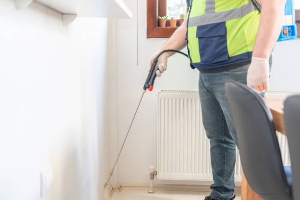 Best Affordable Pest Control Services  in Blue Mound, TX
