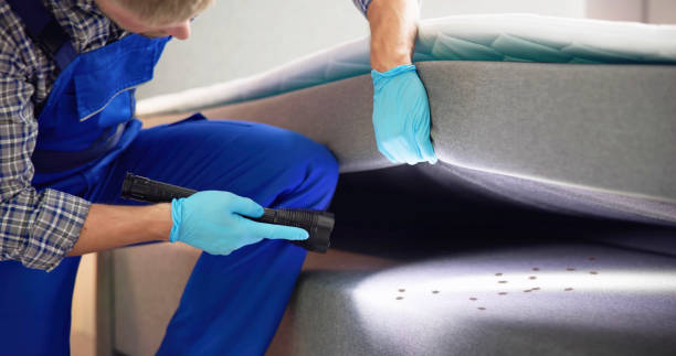 Best Best Pest Control Companies  in Blue Mound, TX