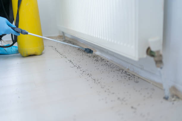 Pest Control for Restaurants in Blue Mound, TX
