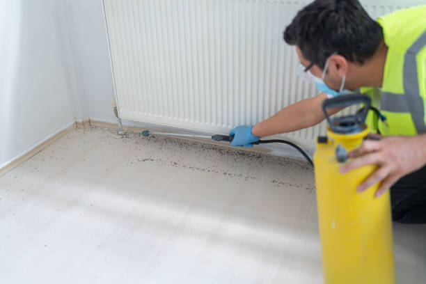 Best Pest Control Treatment  in Blue Mound, TX