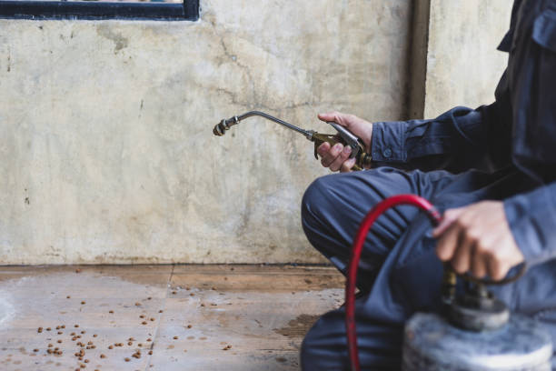 Best Residential Pest Control  in Blue Mound, TX